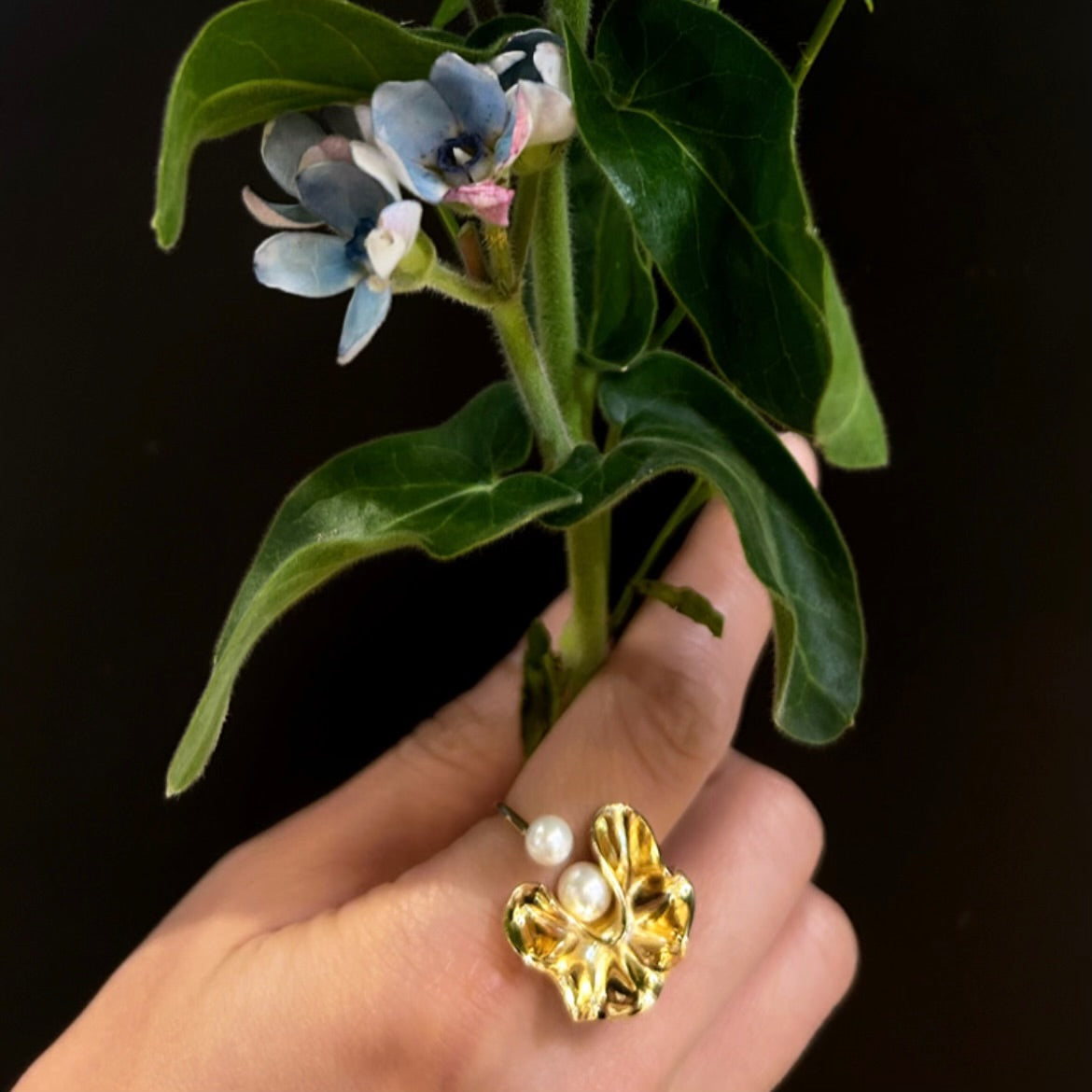 Golden Time Ripple Ring